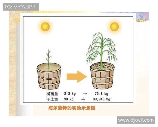 罗达jc1与海尔蒙特柳树实验的对比分析与研究成果探讨