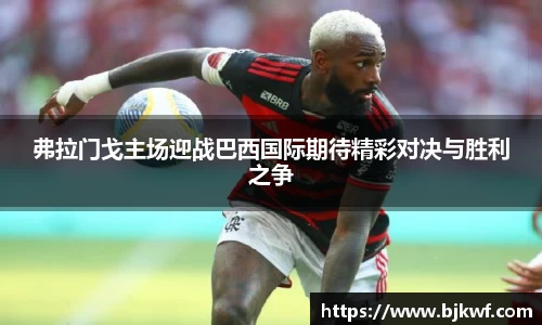 弗拉门戈主场迎战巴西国际期待精彩对决与胜利之争